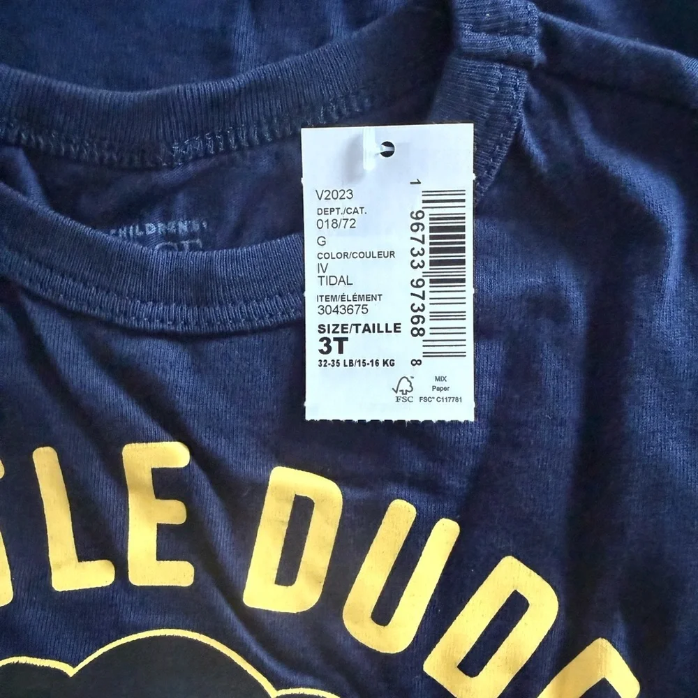 The Children's Place Boys Little Dude Graphic Tee Blue NWT Size 3T